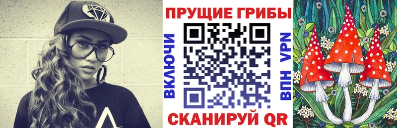 блэк спрут ссылки  даркнет сайт  Беслан  Псилоцибиновые грибы Cubensis 